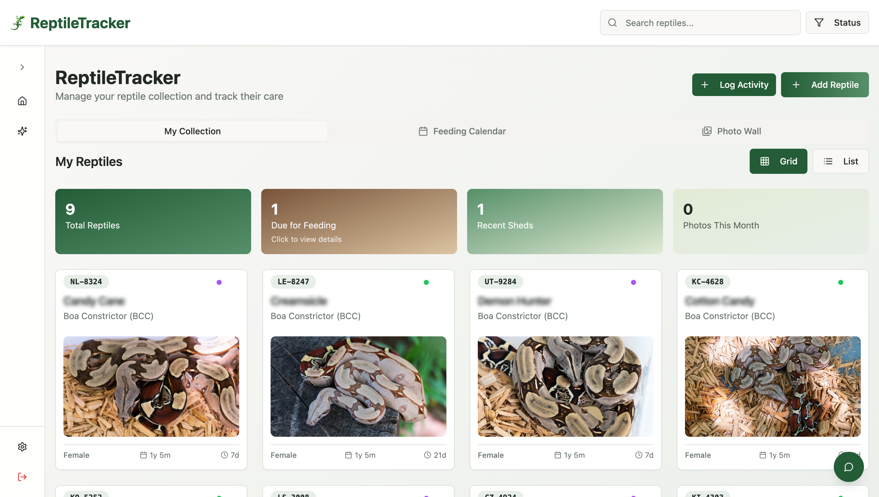 Reptile Tracker dashboard showing daily care statistics and reptile collection grid