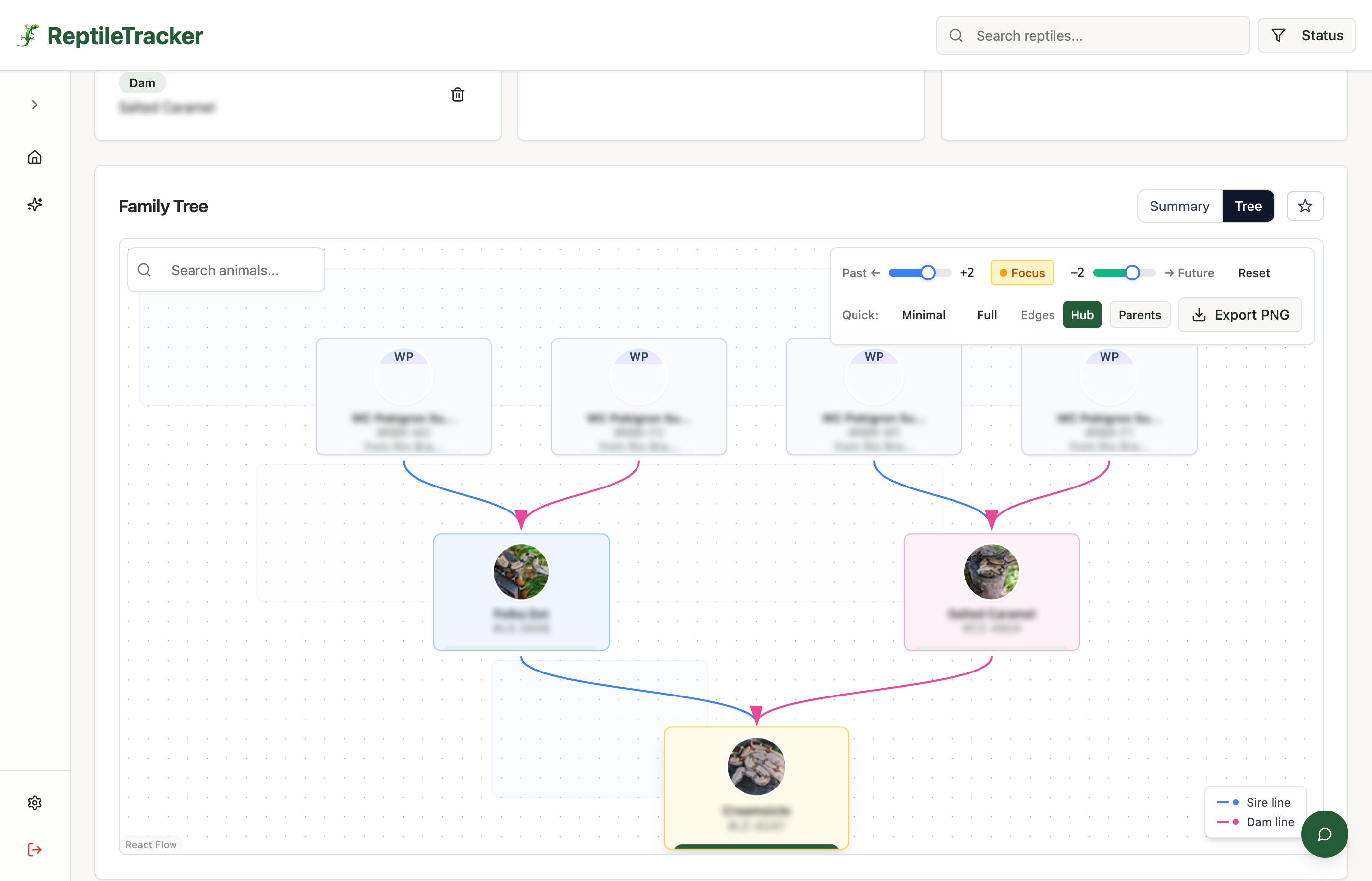 Reptile lineage tree showing ancestry and genetic history